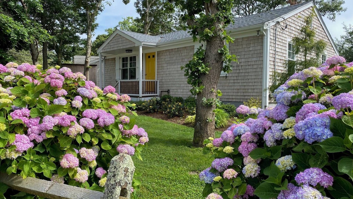 Edgartown House | Ideal Contemporary, Walk to Town, Central AC, 100% Renewable Energy