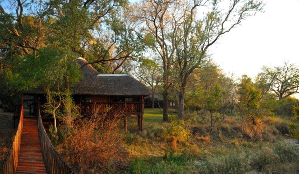 Thorny Bush Game Reserve Cabin | Idube Game Reserve