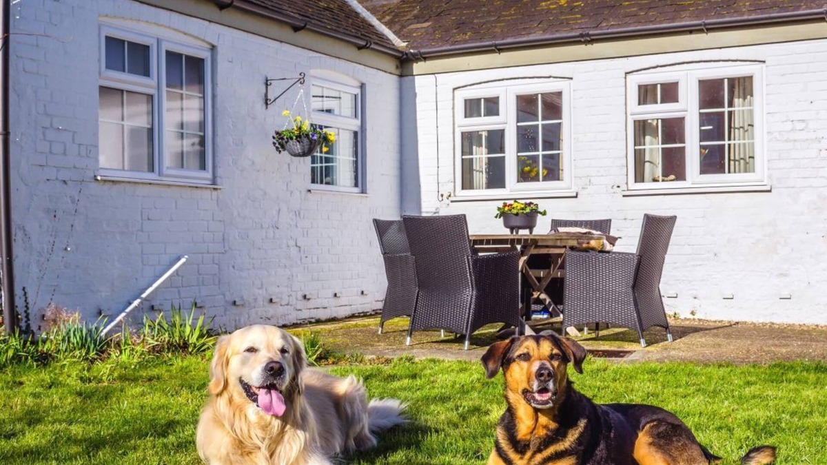 Irstead Cottage | Idyllic Cottage - Detached, Private Garden, Dog Friendly - 2 Ensuite Bedrooms.