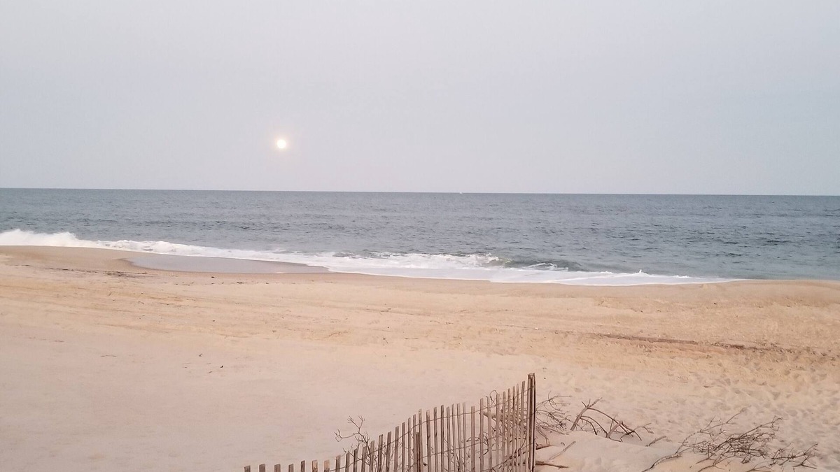 Davis Park Cottage | Idyllic Cozy Cottage in Davis Park, Fire Island - Weekly Rentals Now Available!