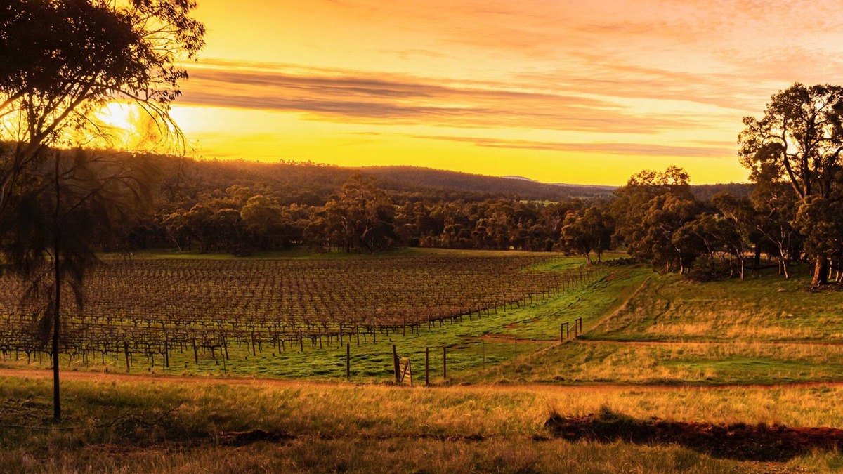 Williams Other | Idyllic Farmhouse overlooking Vineyard on 160 acres