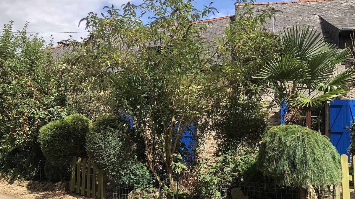 Langourla House | IDYLLIC HOUSE AWAY FROM HOME SITUTATED IN A SMALL HAMLET.