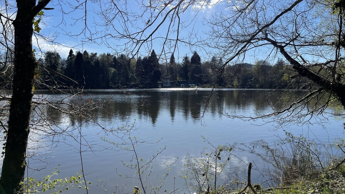 Ladignac le Long House | Idyllic house by lake at the gateway to the Dordogne (Périgord)
