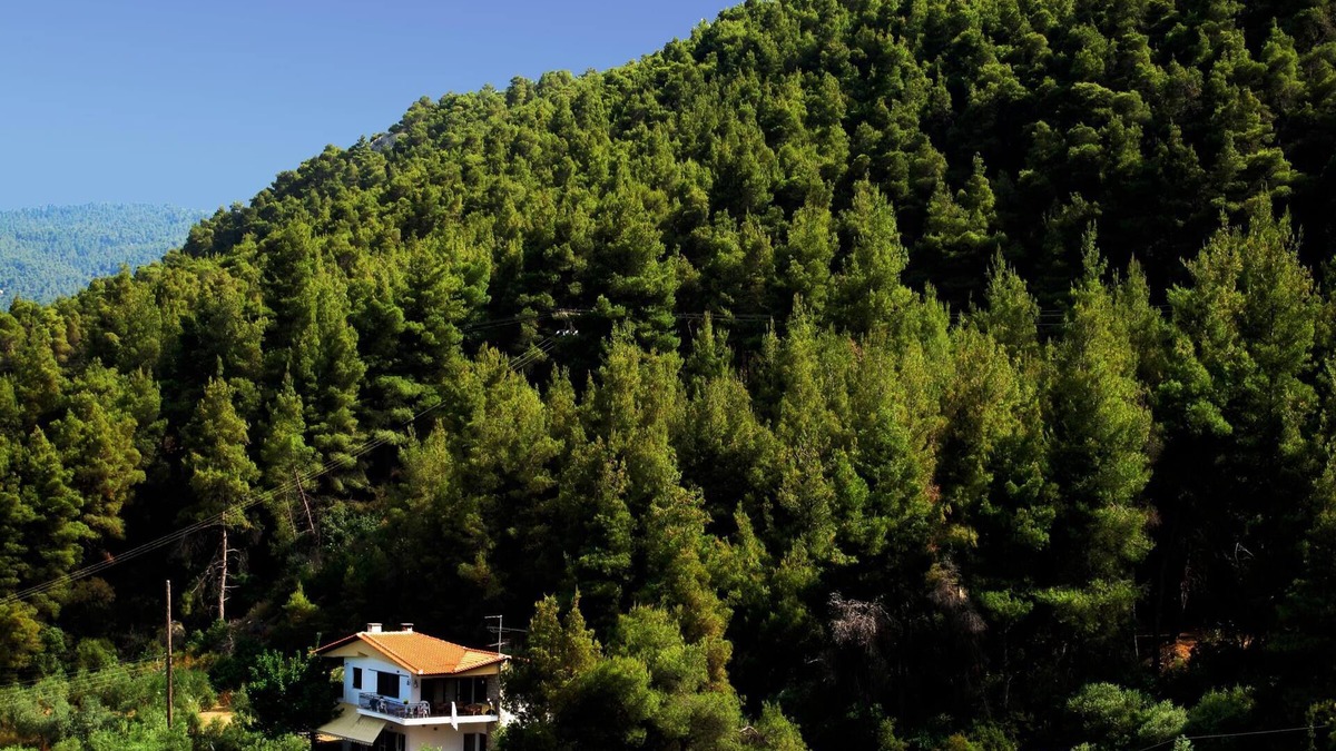 Sithonia Apartment | Idyllic located holiday apartment at the sea, Wifi, Vourvourou, Chalkidiki-Sitho