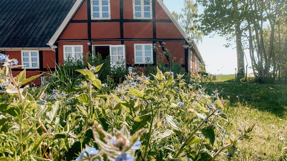 Sakskobing Other | Idyllic old farm in beautiful nature