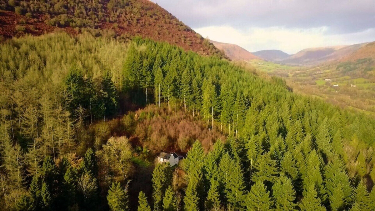 Longtown Cottage | Idyllic Romantic Forest Retreat