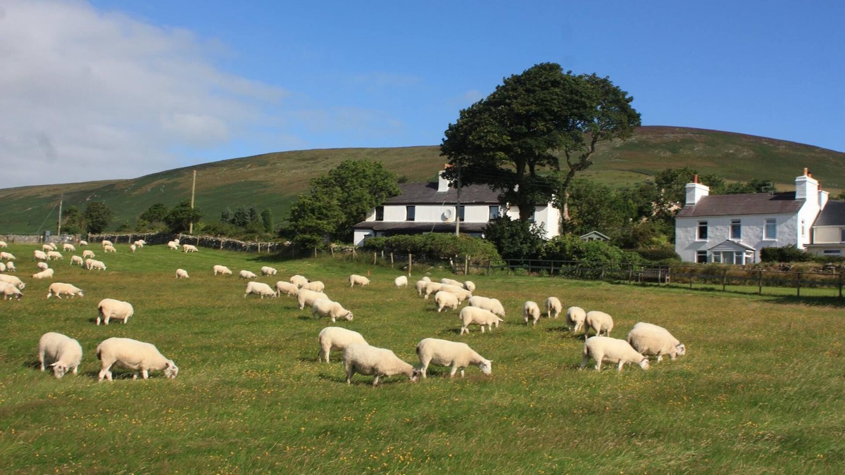 Baldrine House | Idyllic Rural Cottage with great panoramic views - 5 min from Laxey