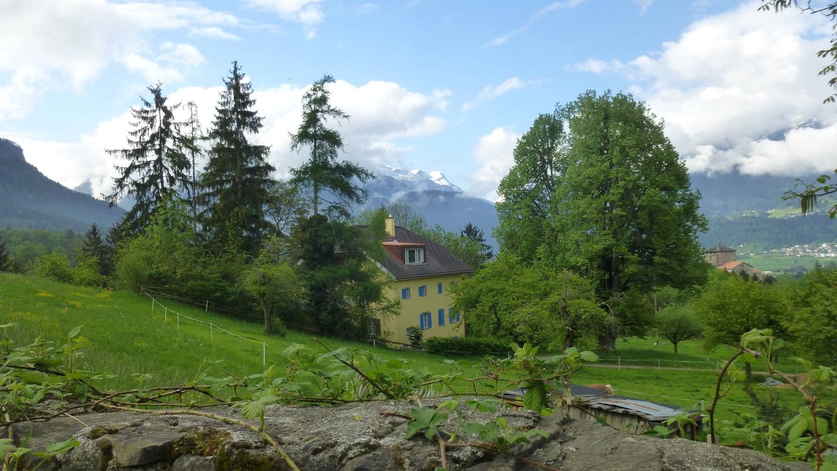 Rodels Apartment | Idyllic traffic-free apartment for hiking, skiing, cycling with EV charging station