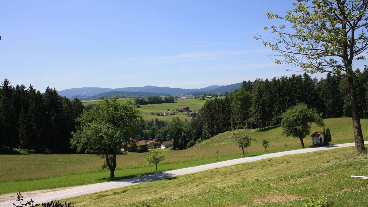 Viechtach House | Idyllische Ferienwohnung in Viechtach in Waldnähe