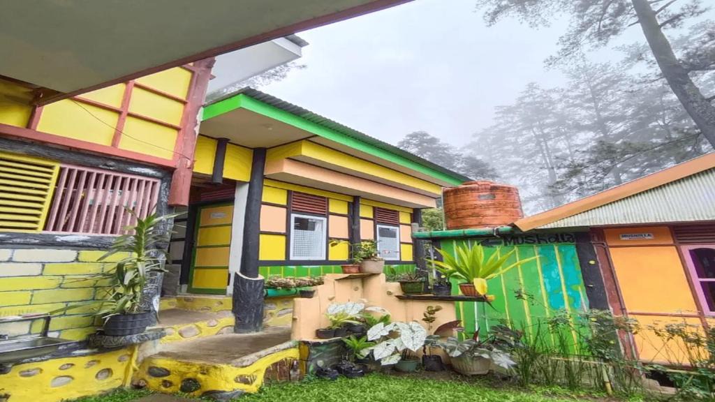 Tinggimoncong Resort | IEFA Malino Resort
