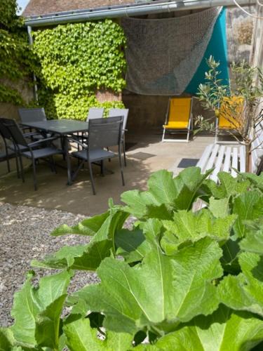 Chabris House | igor