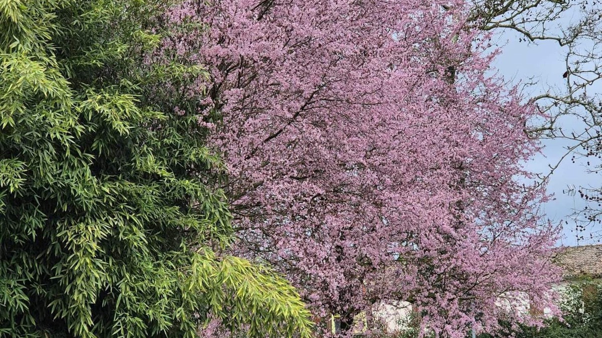 Parasacco House | Il Bivio