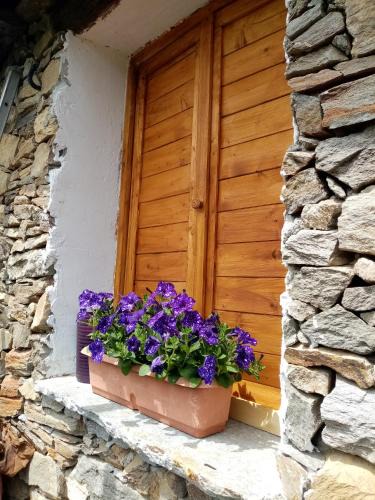 Pomaretto Ski Chalet | Il Càssero