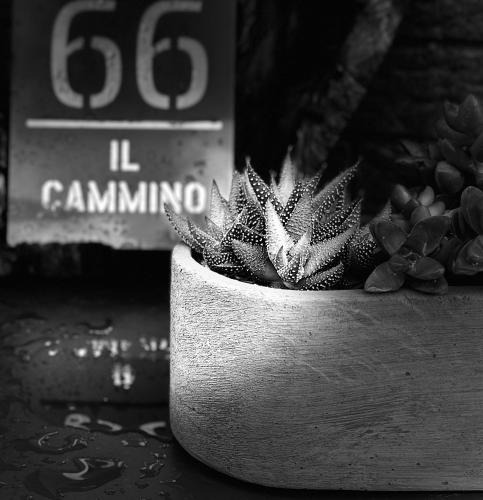 San Quirico d'Orcia Apartment | Il Cammino