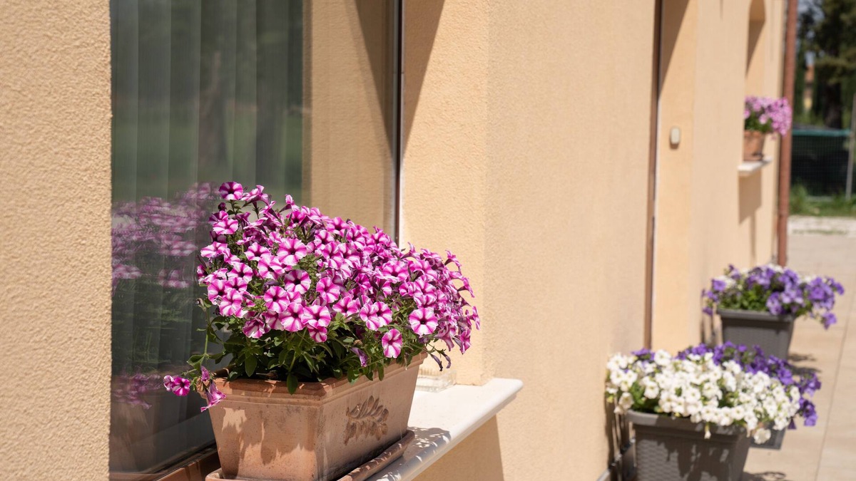 Casenuove Bed & Breakfast | Il Castellaccio