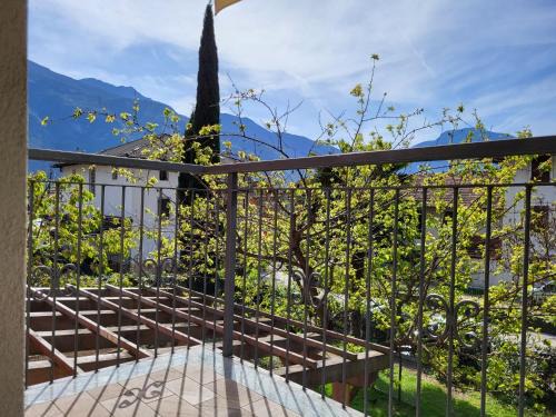 Aldeno Apartment | Il Grappolo di Aldeno