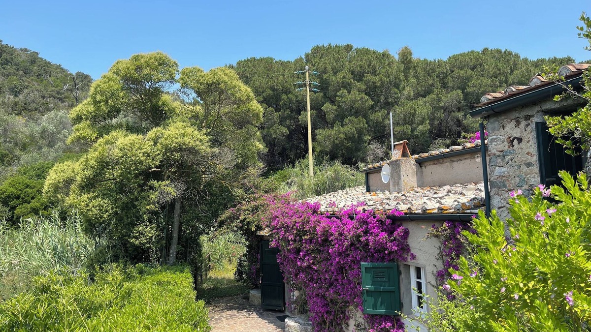 Magazzini Villa | Il Molino – A Historic Watermill Retreat on Elba Island