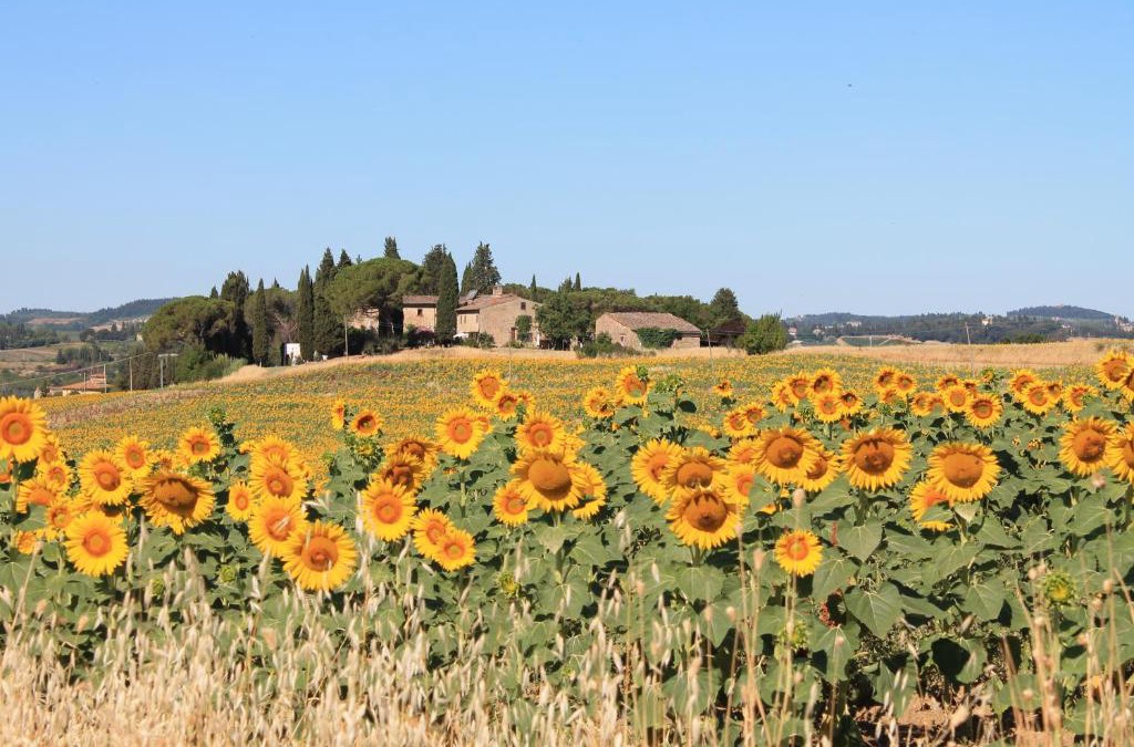 Scandicci Bed & Breakfast | Il Poggio B&B