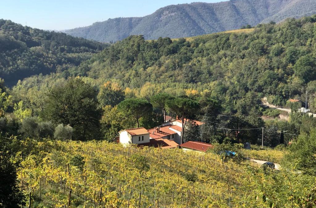 Rufina Apartment | Il Poggiolo ai Casini