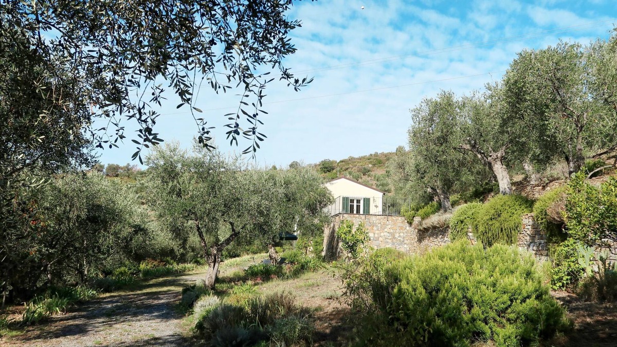 Costa dʼOneglia House | Il Terebinto (IMP427) by Interhome