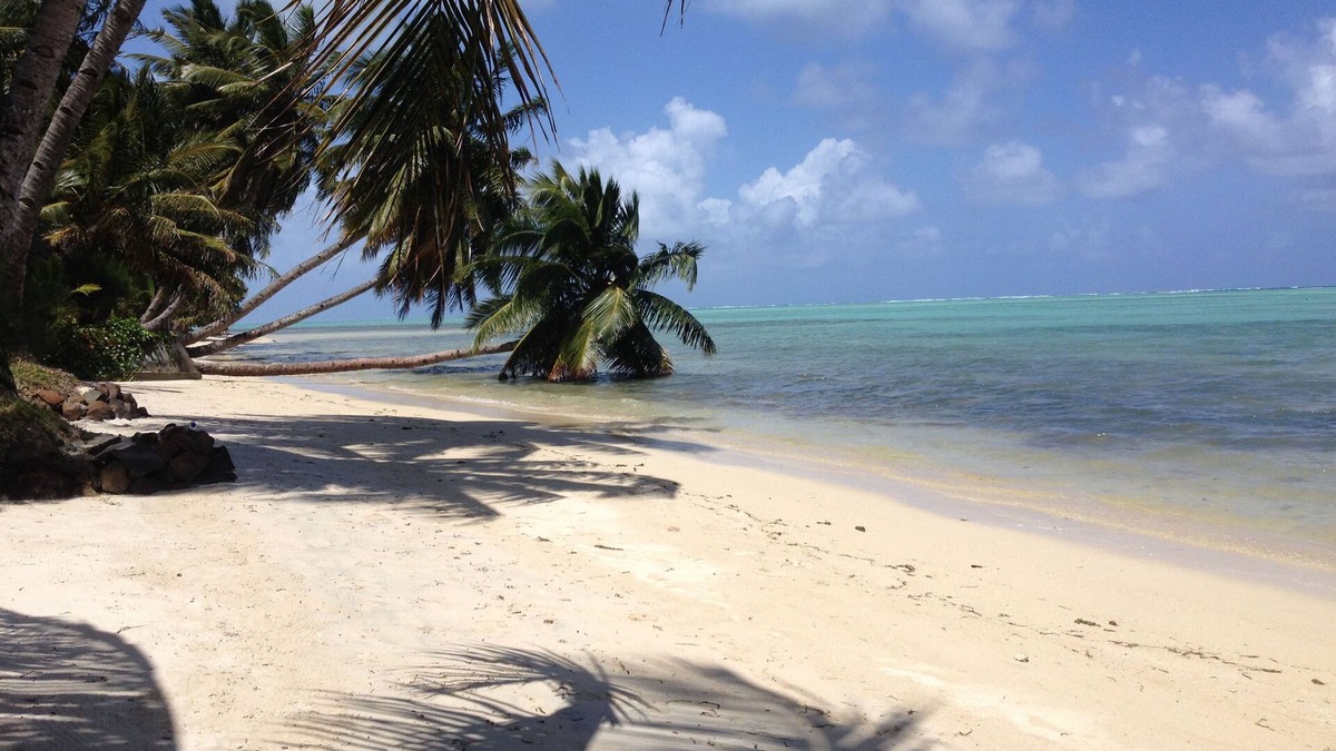 Nosy Boraha House | ILE SAINTE MARIE WOOD HOUSE ON THE BEACH WITH GARDEN FACING THE LAGOON EAST COAST