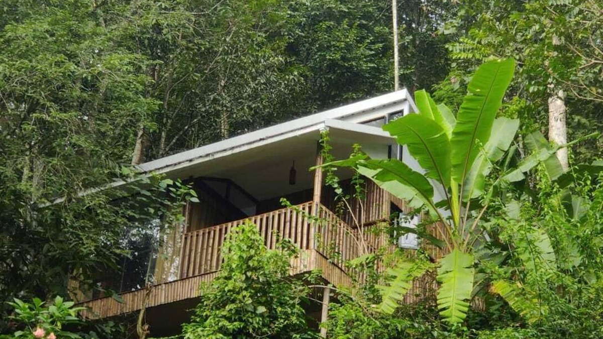 Kunchithanny Cottage | Illi Villa Cozy Bamboo claded Nature friendly cottage in Munnar in Spices farm