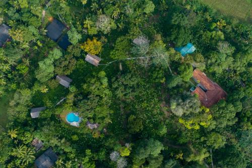 Padinnoruwa Resort | Ilukketiya Tea Chalets - Melagoda, Wanchawala
