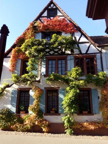 Rhodt unter Rietburg Apartment | Im Alten Kaufhaus