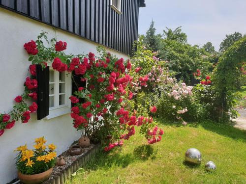 Lesna Apartment | Im Dreiländereck - DOM PRZY TRZECH GRANICACH