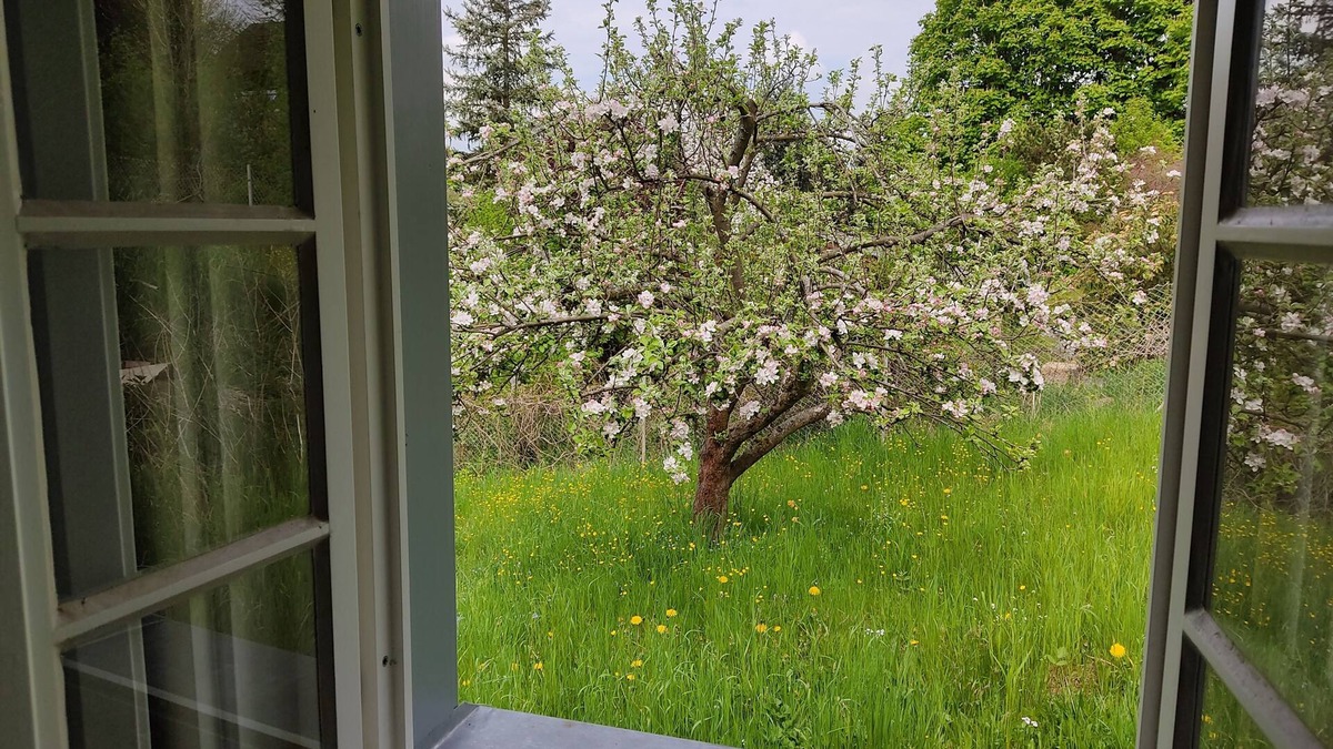 Mittelndorf Apartment | Im Herzen der Sächsischen Schweiz- Fewo Bloßstock für Max. 5 Personen