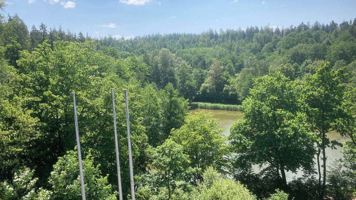 Ronshausen Condo | Immensee I Apartment with lake view surrounded by forest
