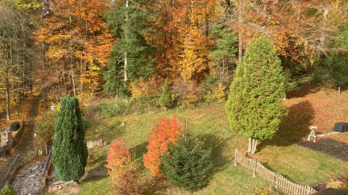 Ziebach Apartment | Immensee II Apartment with lake view and located at the forest edge
