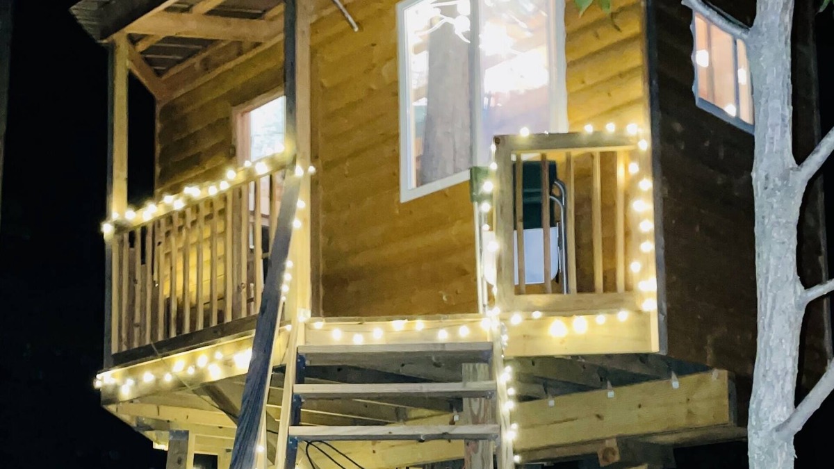 Brooklyn Cabin | Immerse yourself with nature at this unique living tree-treehouse!