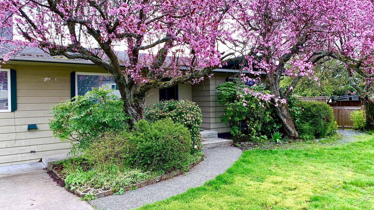 Sidney House | Impeccable Cleanliness Family & Pet Friendly Large Deck House Near YYJ & Ferry