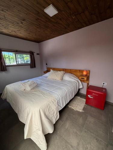 Molinari Apartment | In da House - Adults Only - TI