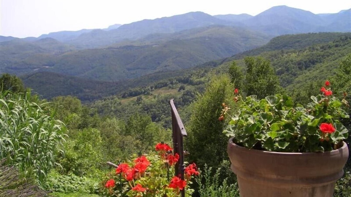 Arles-sur-Tech Apartment | IN MONTFERRER NOT ARLES! nFARMHOUSE STUDIO APPARTEMENT WITH A VIEW TO LIVE FOR !