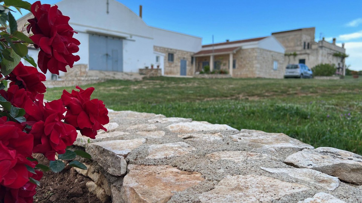 Santeramo in Colle House | In old farmhouse in Apulia, large room with kitchen, bathroom, garden
