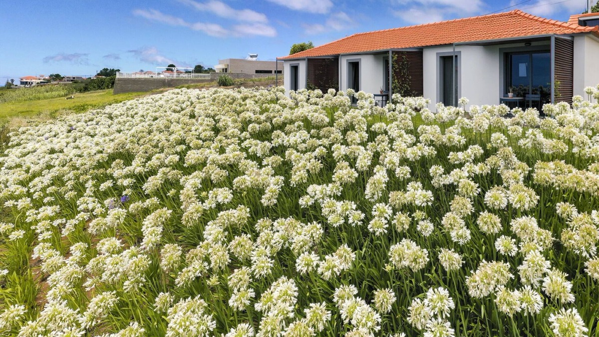 Prazeres Cottage | In peaceful Prazeres | Qta. Inácia Orchid Studio