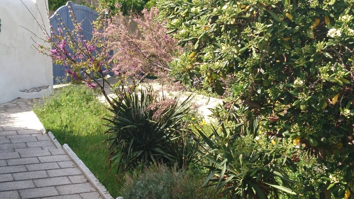 Endoume Apartment | In picturesque Malmousque area, 2 minutes from the sea near the ideal center for 2 people
