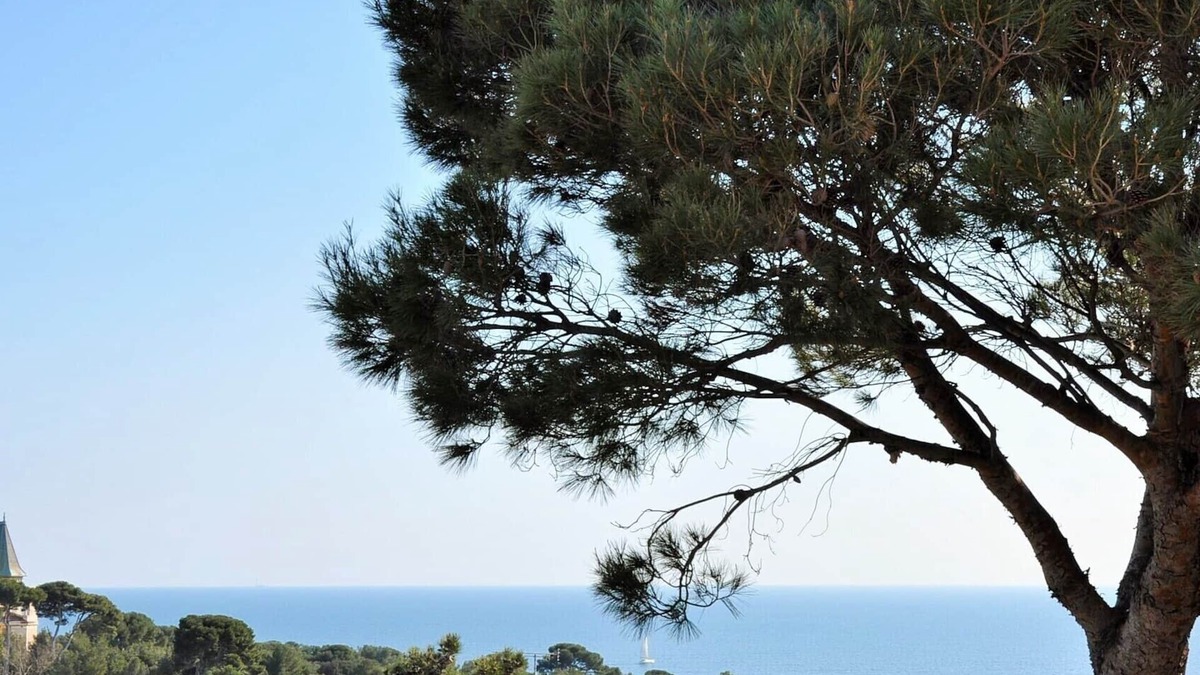 Sausset-les-Pins House | IN SAUSSET LES PINS. MAGNIFICENT APARTMENT ref: 3 stars close to the sea.