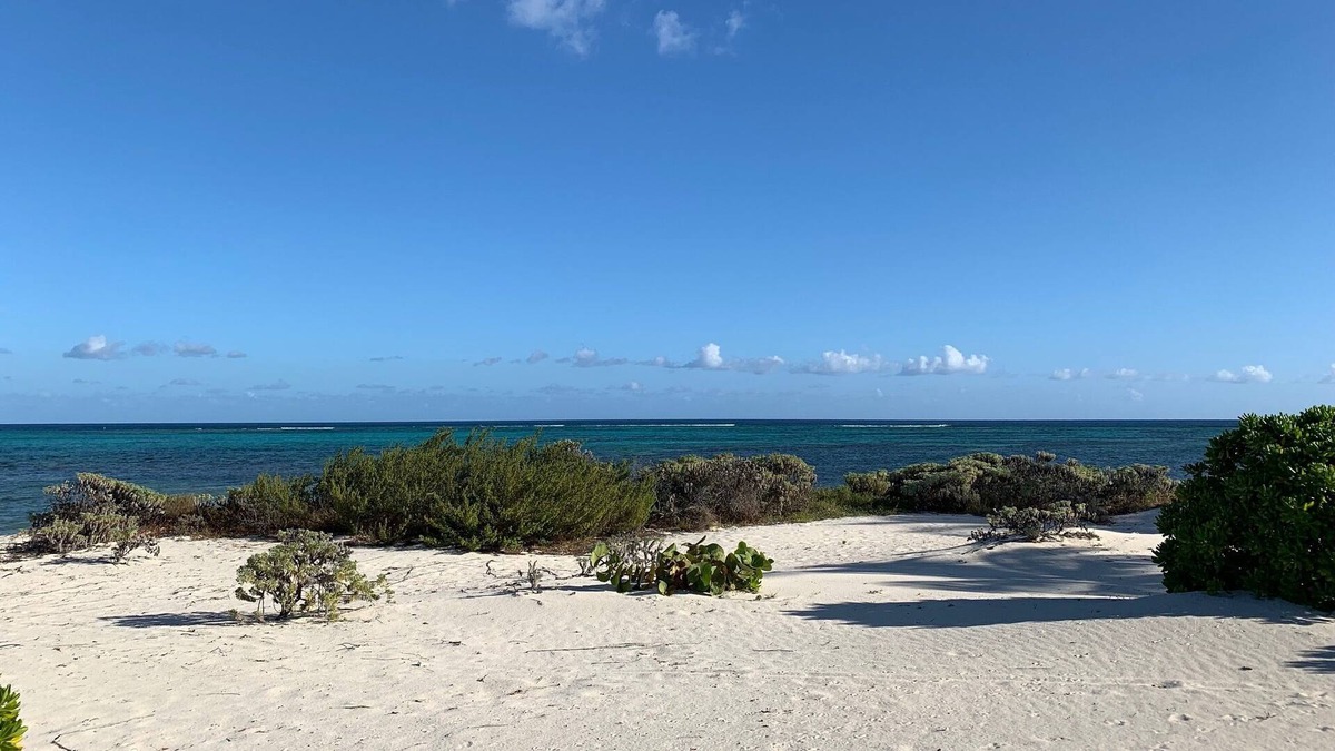 Blossom Village House | In Seaclusion, Little Cayman