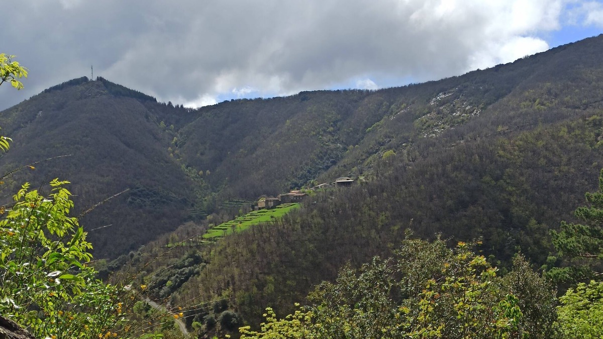 Valleraugue House | In the Cévennes at the foot of Mont Aigoual, 1km 2 from Valleraugue in the Gard department