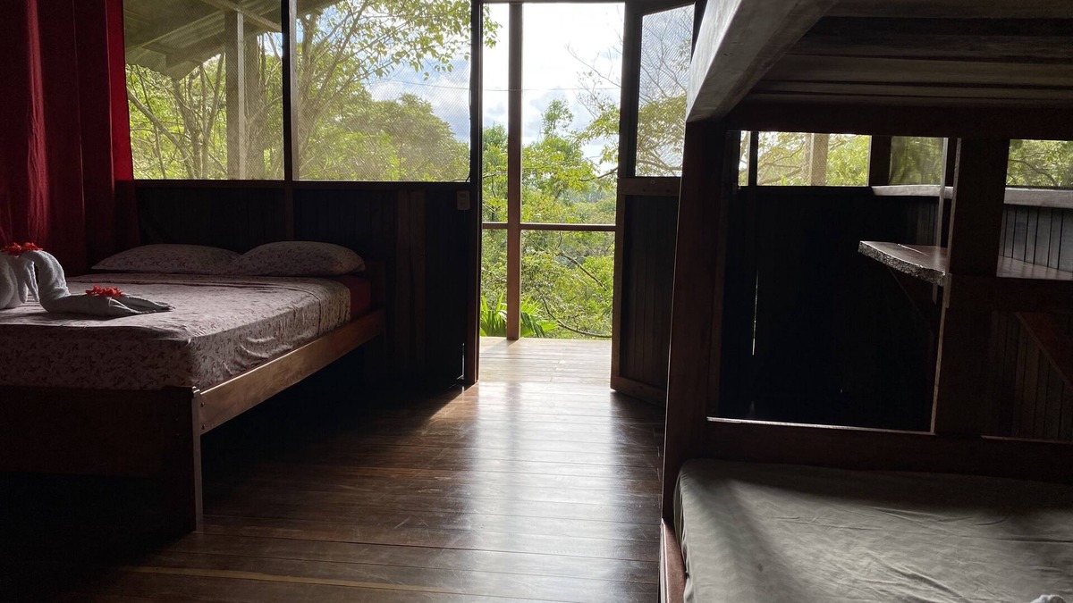 Carate House | in the heart of the forest, Near Corcovado National Park.