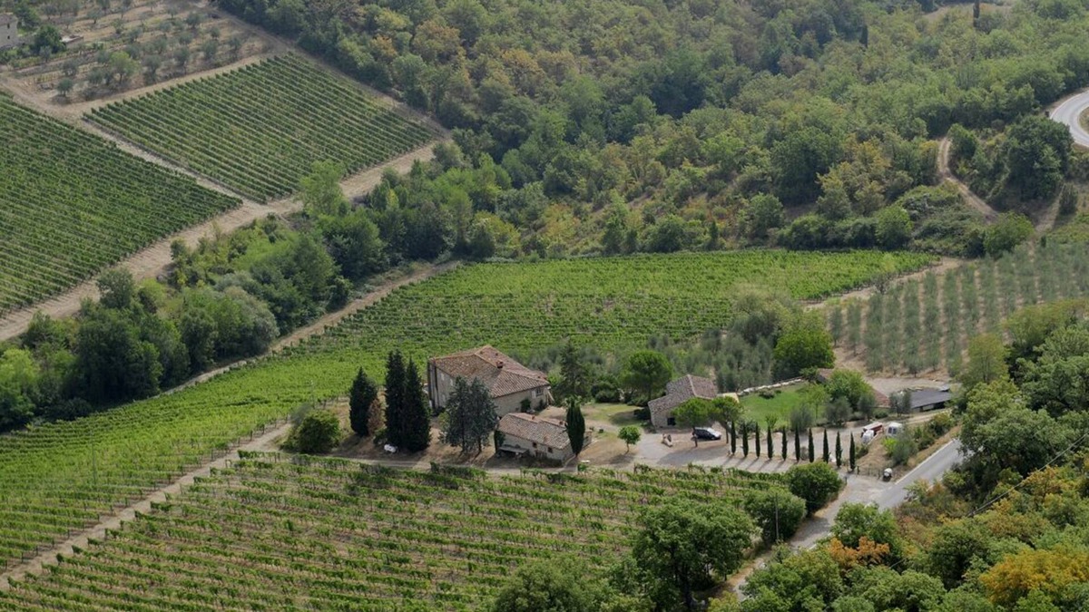 Radda in Chianti House | In the heart of Chianti: view over the valley, relaxation & art, wine & sun