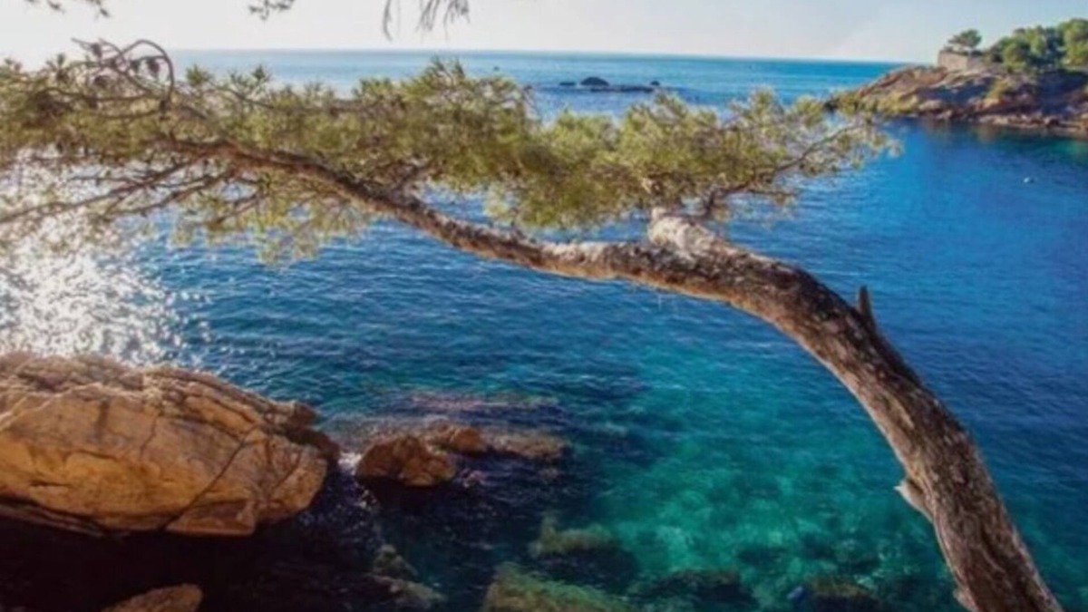 Ensues-la-Redonne Apartment | IN THE HEART OF THE CALANQUE DE FIGUIÈRES