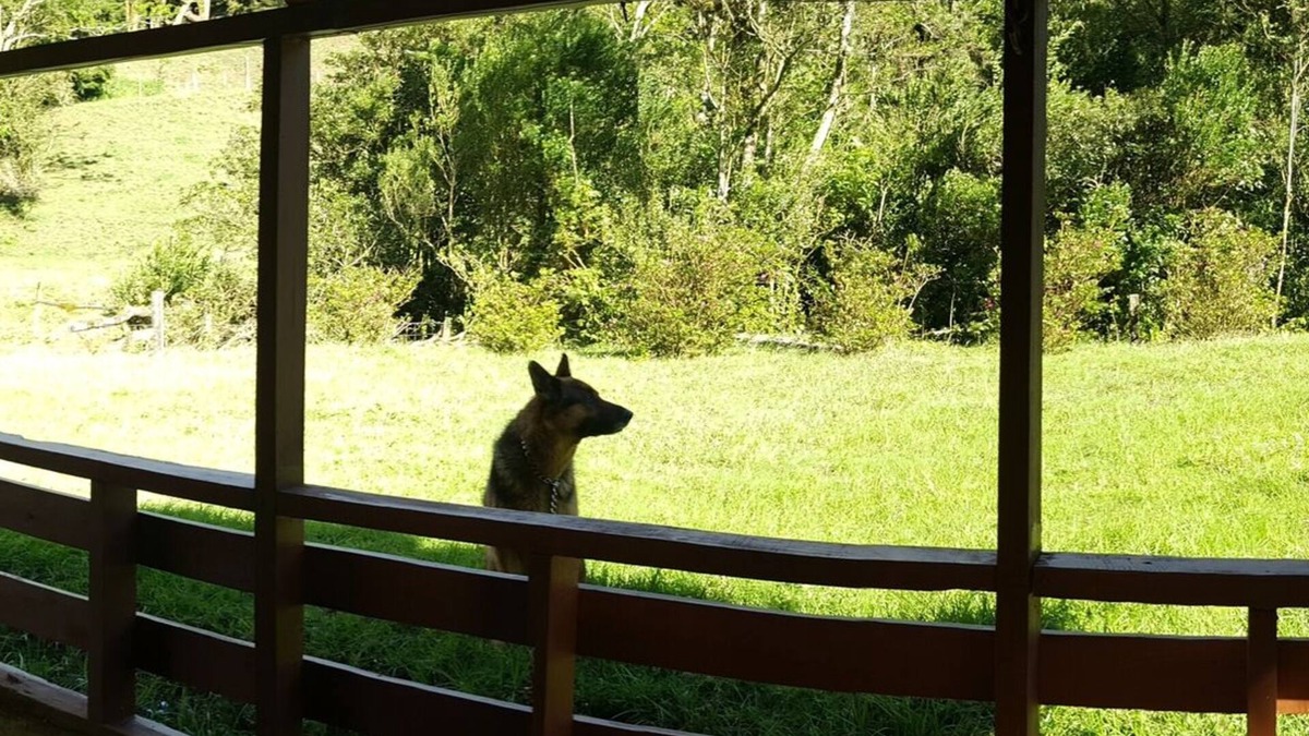 Quebrada Grande House | IN THE HEART OF MONTEVERDE. 300 ACRE PROPERTY