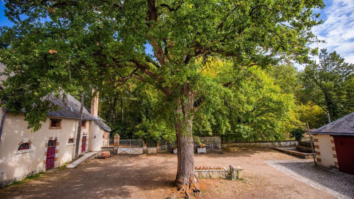 Cour-Cheverny House | In the heart of the Chateaux de la Loire Gîte de Plain-Pied adapted for PMR. Pets allowed