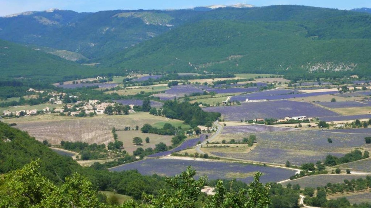 Lardiers Apartment | In the land of lavender, at the foot of the Lure mountain