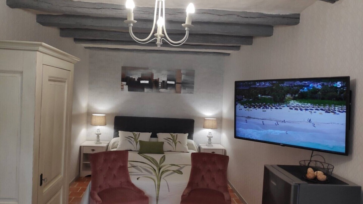 Lussault-sur-Loire Apartment | In the Loire Valley exceptional gite near Amboise gite le Cot