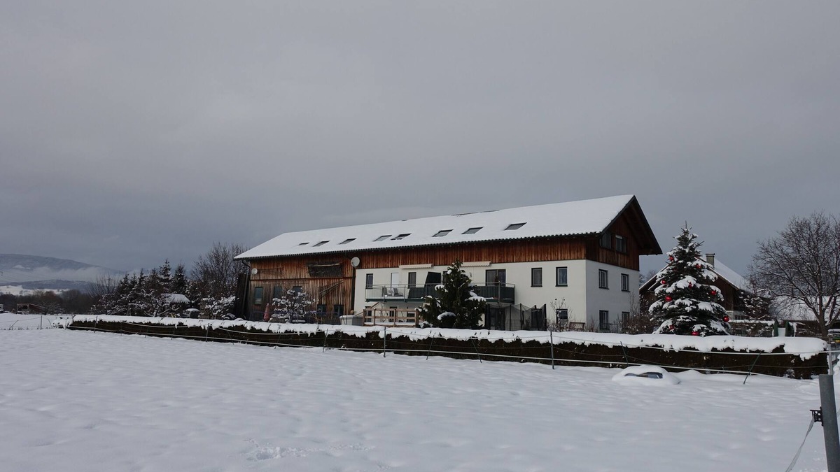Rankweil Apartment | In the middle of the Alps / In the middelof the alps